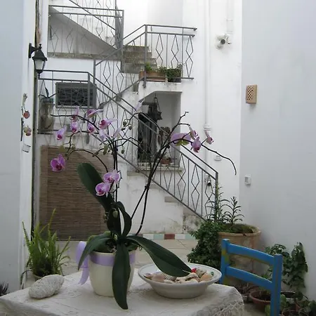 A Casa Delle Zie *